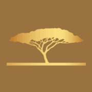 Shanta Gold logo